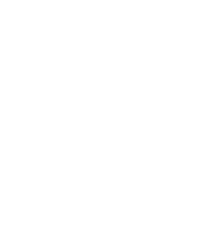Fauxigent Logo